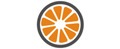 Logo Orange Puzzle