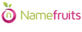 Logo Namefruits
