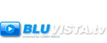 Logo Bluvista
