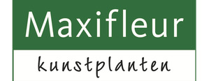 Logo Maxifleur