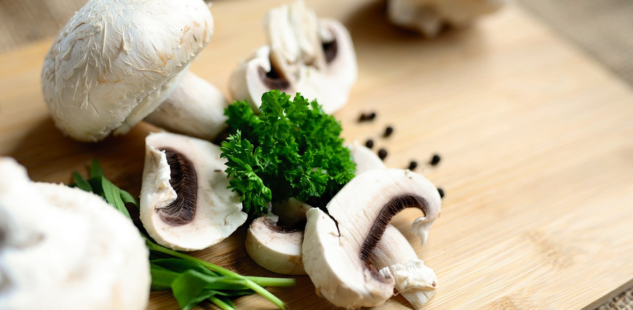Wie kann man tolle Gerichte mit Pilzen zubereiten?